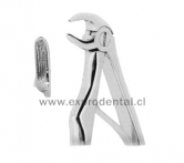 Forcep Nino Curv Bord P.Loro Med 5