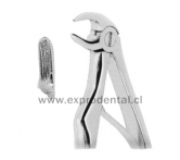 Forcep Nino Curv Bord P.Loro Fino 7