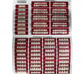 Muestrario Moldes Dientes Marche Catalog